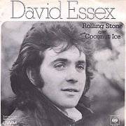 David Essex : Rolling Stone